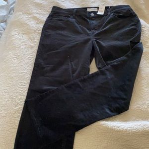 Black velvet straight leg pants